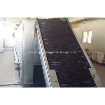 Continuous Pistachio Nuts Dryer